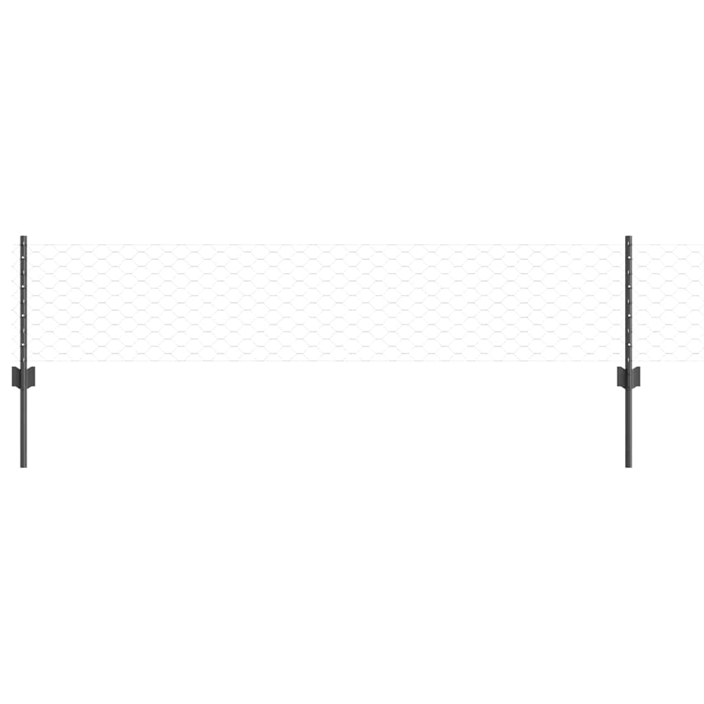 Sekskantet gjerde med post 10 x 0,4 m PVC-belagt stål Grå Mesh