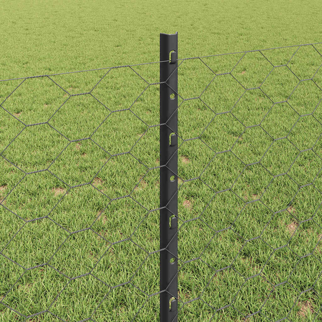 Sekskantet gjerde med post 10 x 0,8 m PVC-belagt stål Grå Mesh