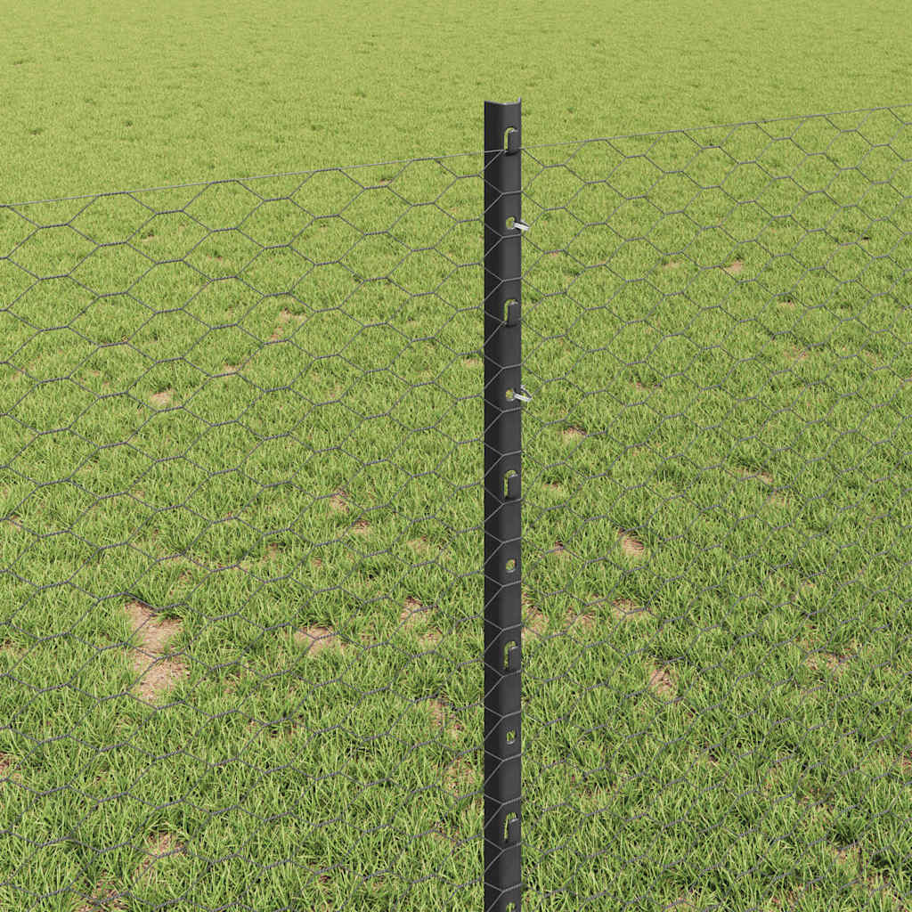 Sekskantet gjerde med post 10 x 1 m PVC-belagt stål Grå Mesh