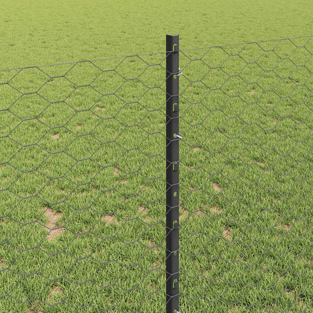Sekskantet gjerde med post 10 x 1 m PVC-belagt stål Grå Mesh