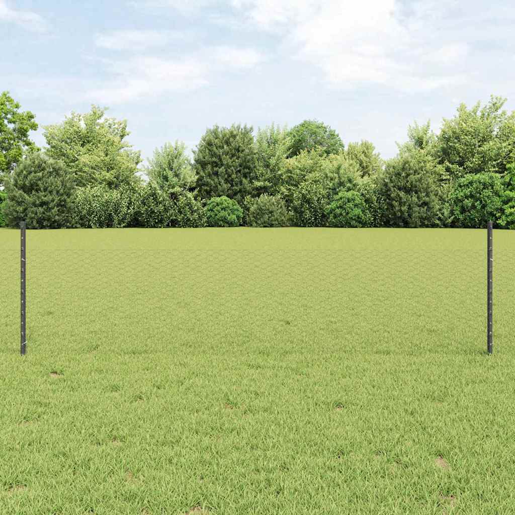Sekskantet gjerde med post 25 x 0,5 m PVC-belagt stål Grå Mesh
