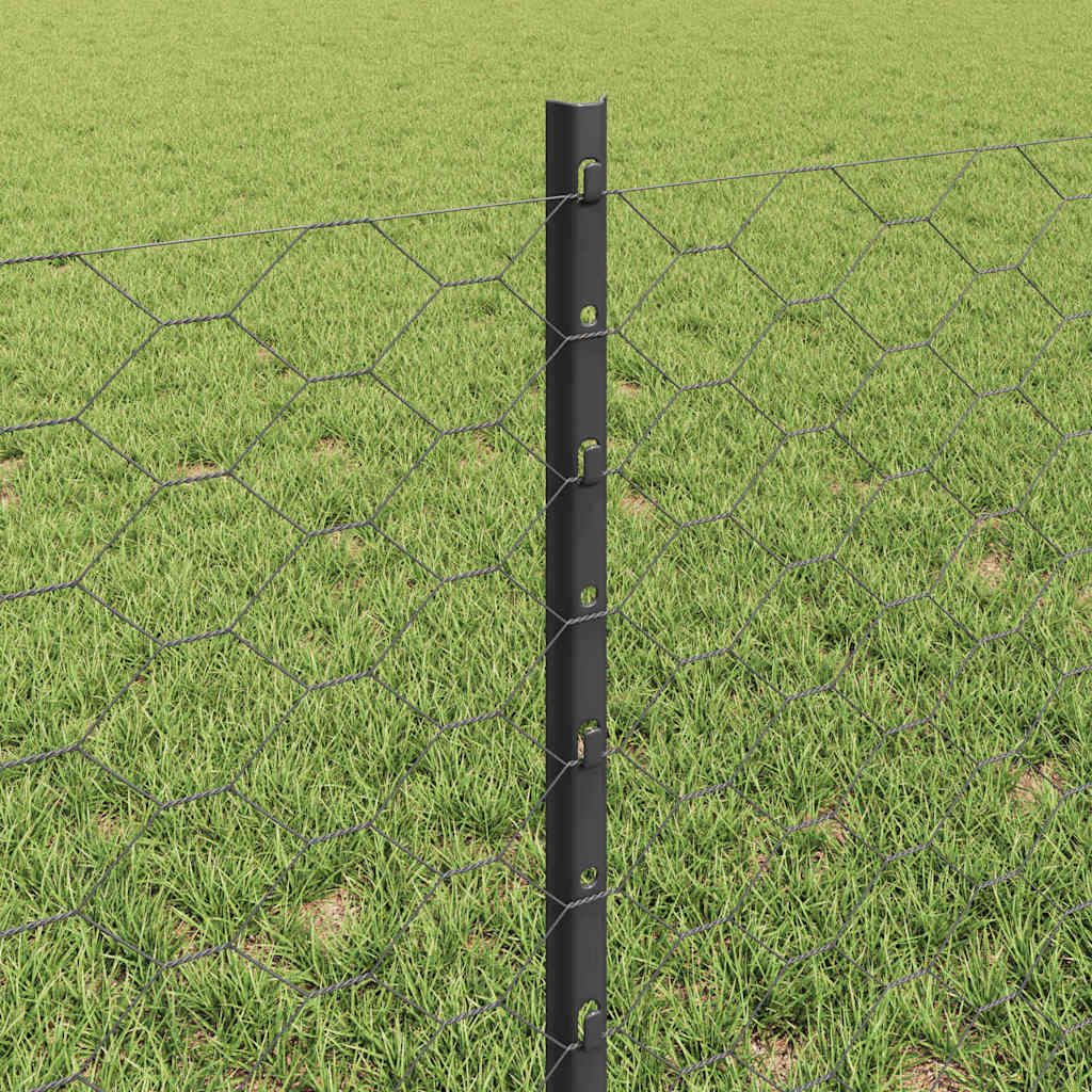 Sekskantet gjerde med post 25 x 0,6 m PVC-belagt stål Grå Mesh