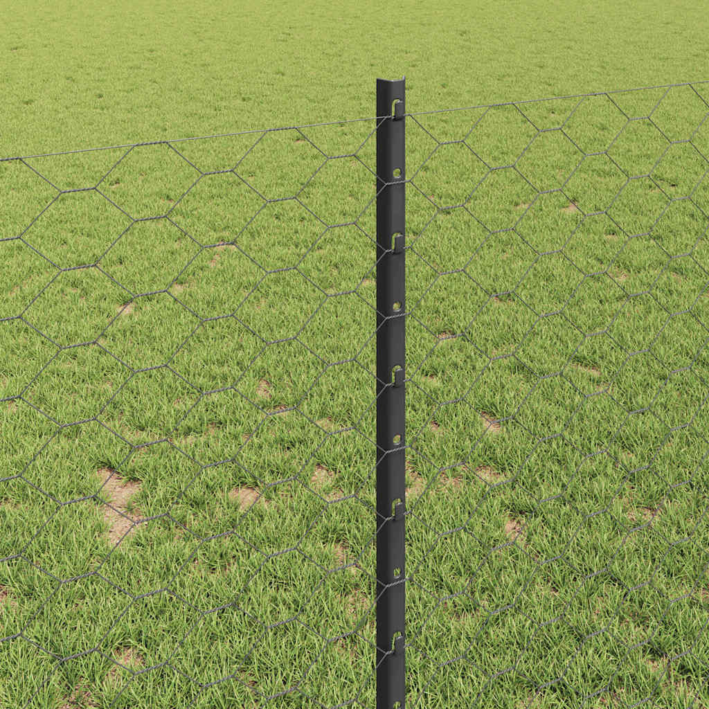 Sekskantet gjerde med post 25 x 1 m PVC-belagt stål Grå Mesh