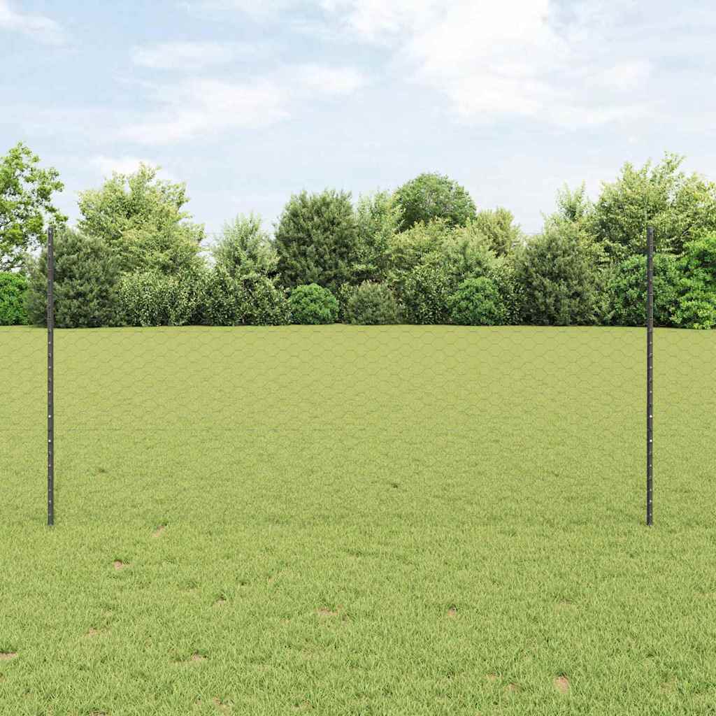 Sekskantet gjerde med post 25 x 1,2 m PVC-belagt stål Grå Mesh