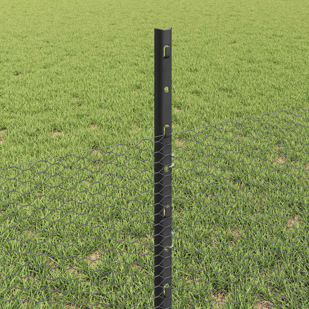 Sekskantet gjerde med post 50 x 0,5 m PVC-belagt stål Grå Mesh