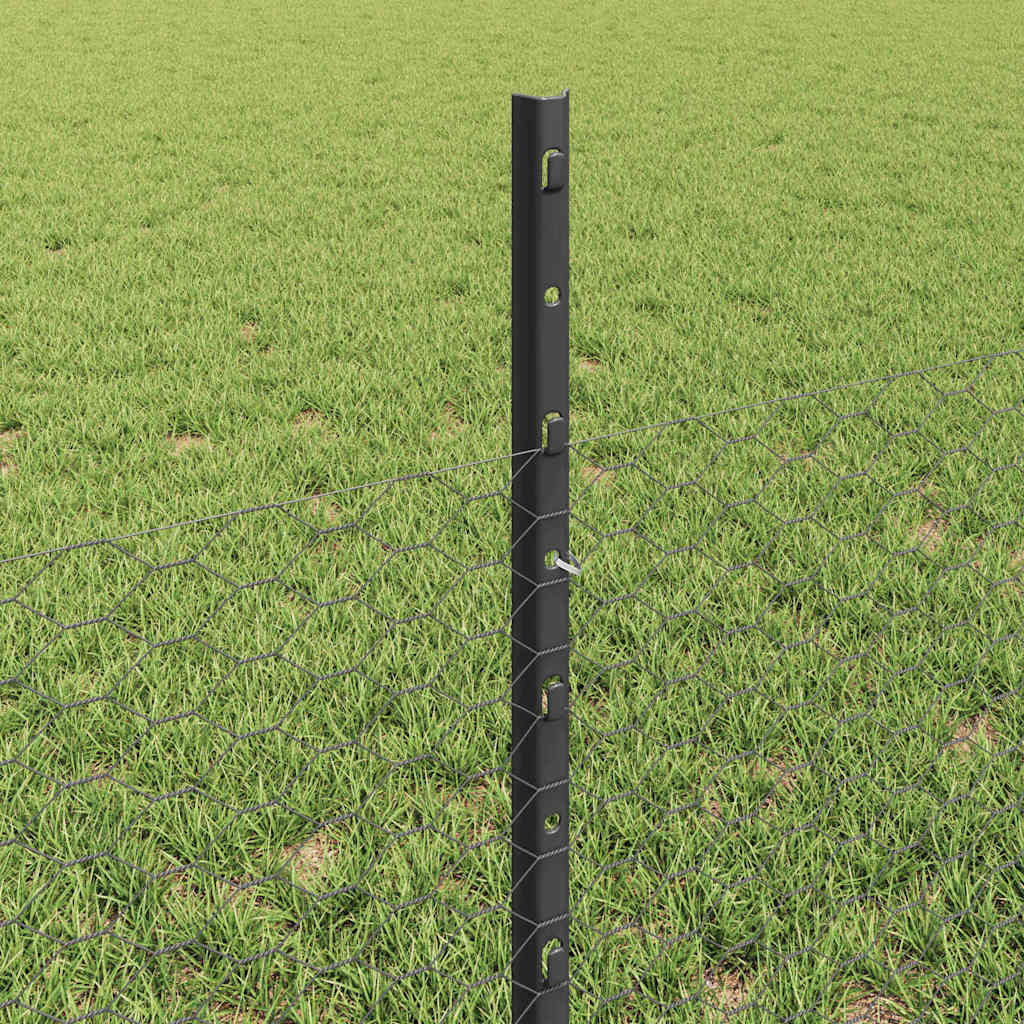 Sekskantet gjerde med post 50 x 0,5 m PVC-belagt stål Grå Mesh