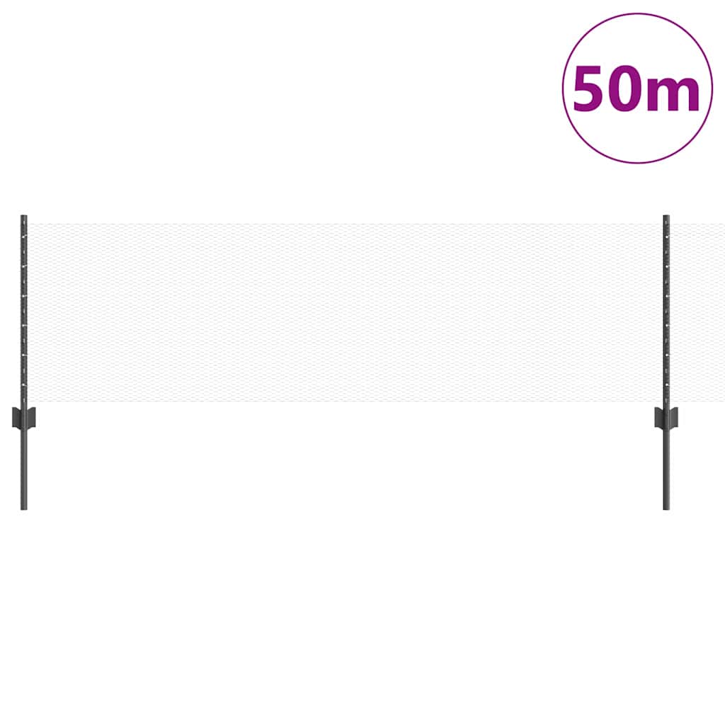 Sekskantet gjerde med post 50 x 0,6 m PVC-belagt stål Grå Mesh