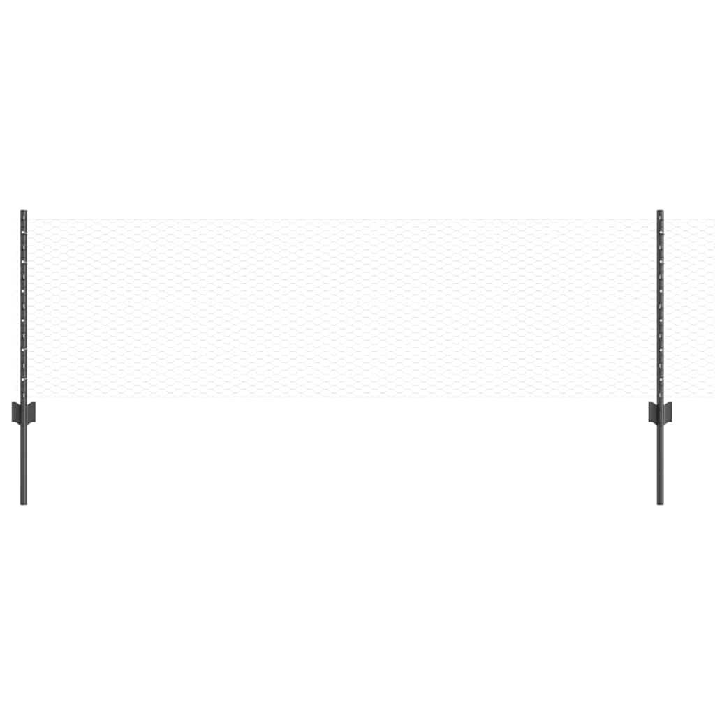 Sekskantet gjerde med post 50 x 0,6 m PVC-belagt stål Grå Mesh