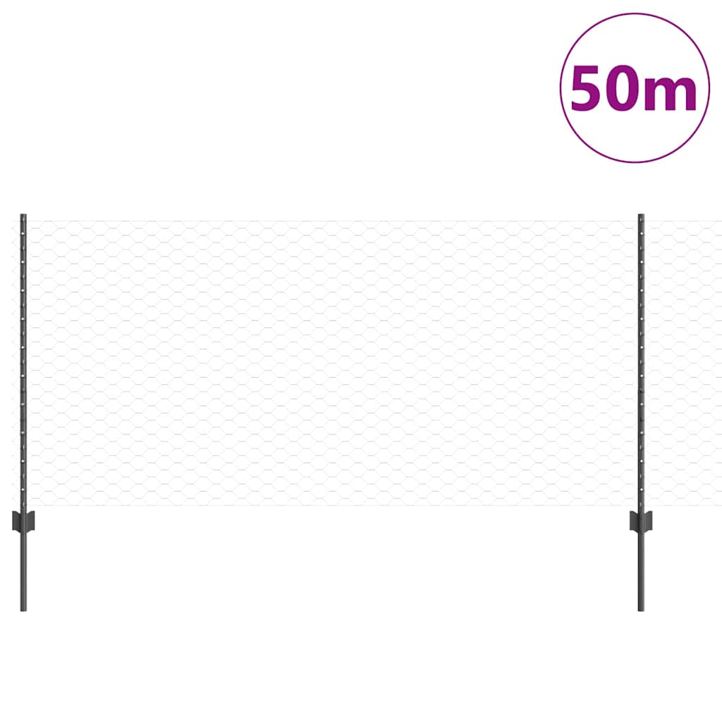 Sekskantet gjerde med post 50 x 1 m PVC-belagt stål Grå Mesh