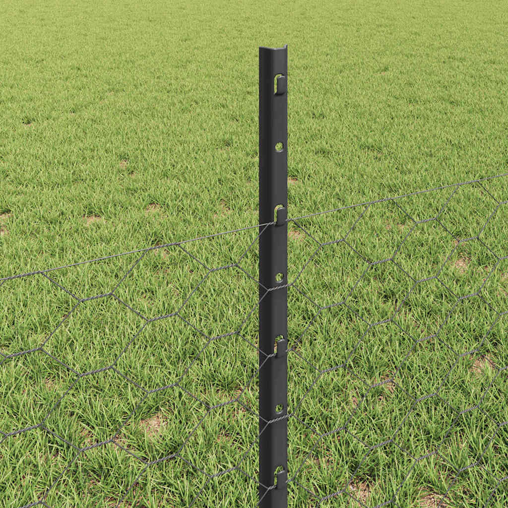 Sekskantet gjerde med post 100 x 0,5 m PVC-belagt stål Grå Mesh