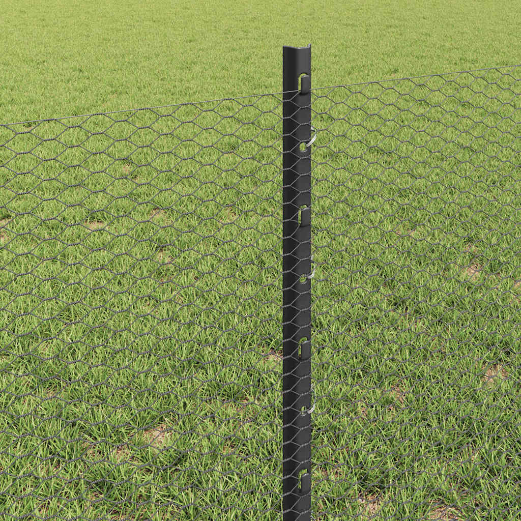 Sekskantet gjerde med post 100 x 0,6 m PVC-belagt stål Grå Mesh