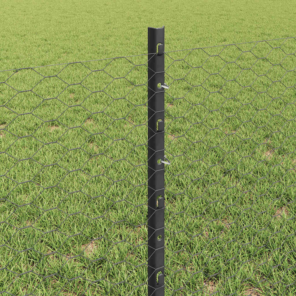 Sekskantet gjerde med post 100 x 0,6 m PVC-belagt stål Grå Mesh