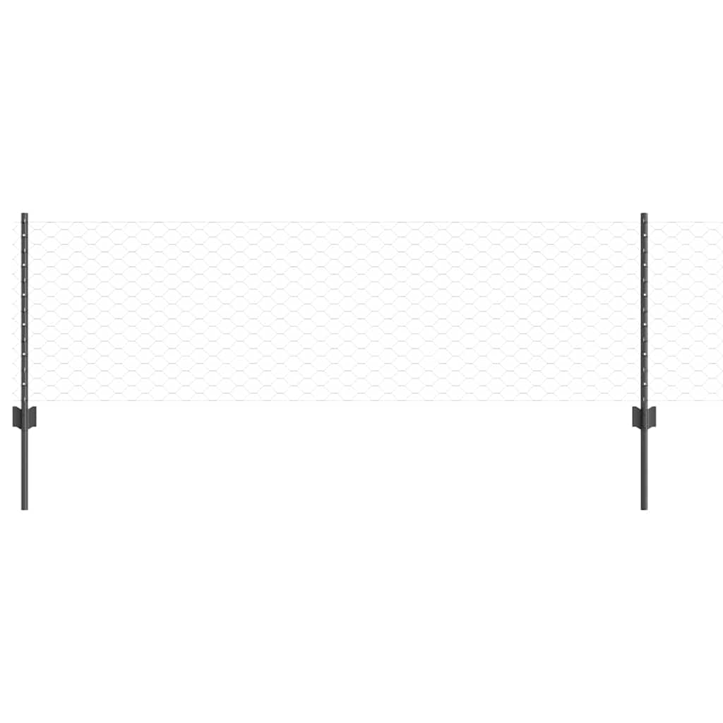 Sekskantet gjerde med post 100 x 0,6 m PVC-belagt stål Grå Mesh