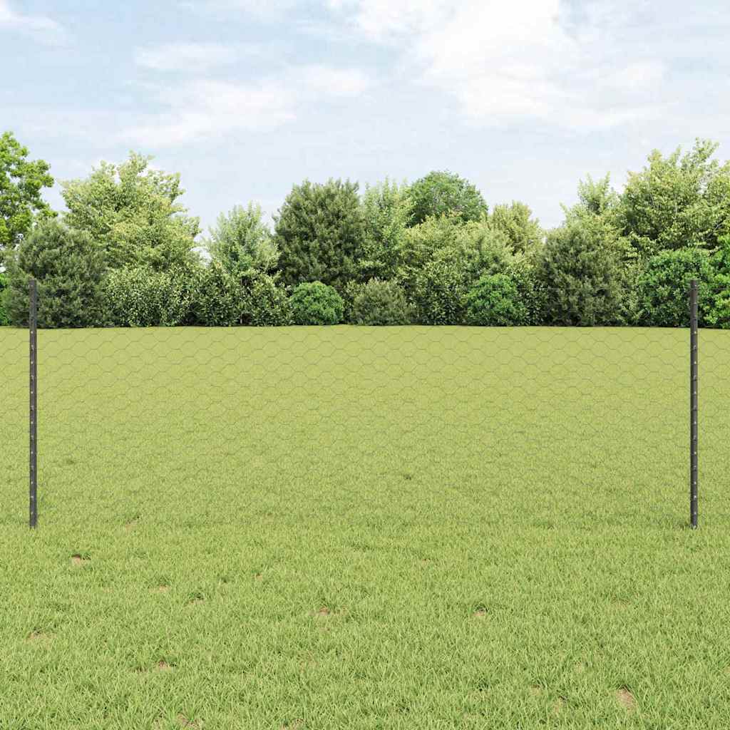 Sekskantet gjerde med post 100 x 0,8 m PVC-belagt stål Grå Mesh