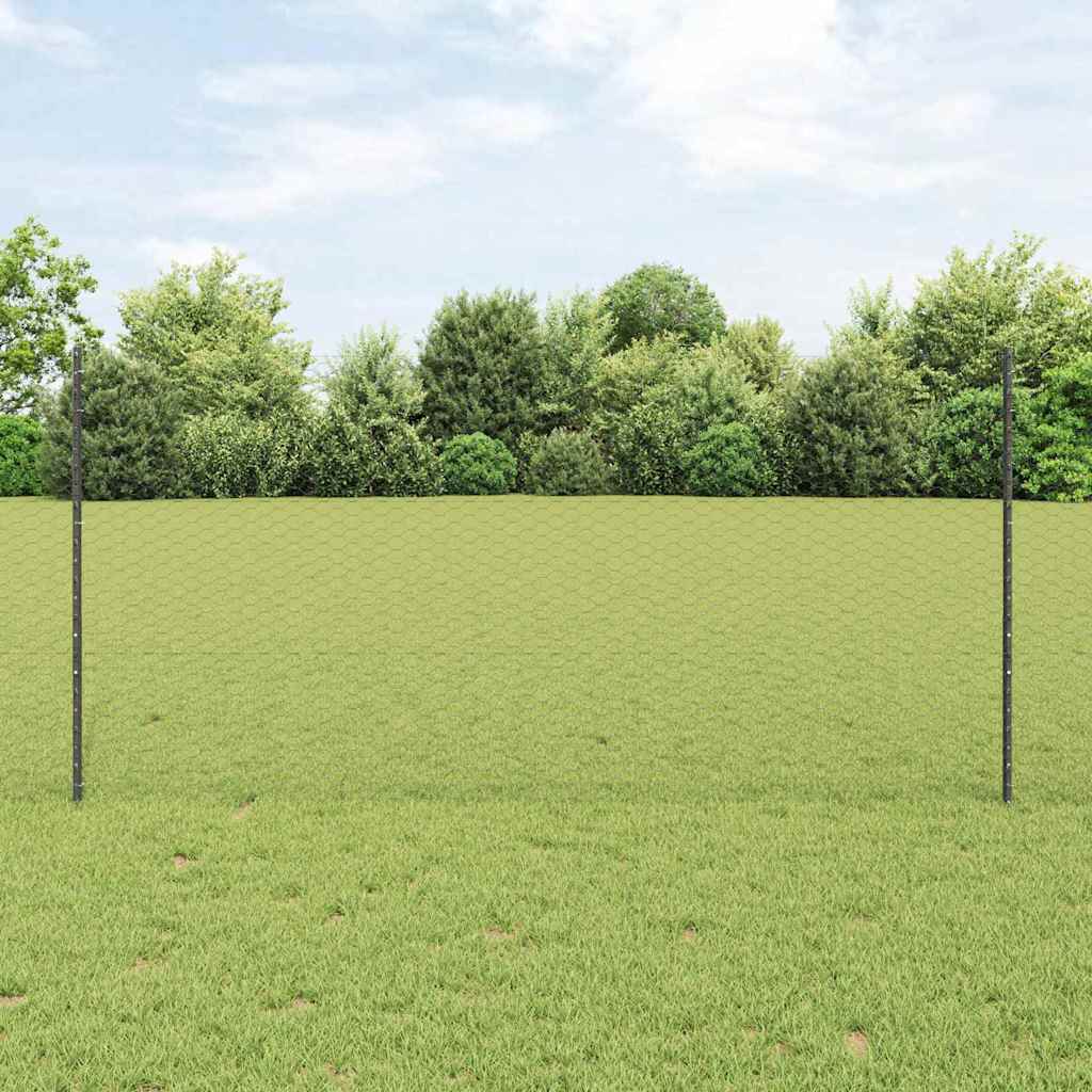 Sekskantet gjerde med post 100 x 1,2 m PVC-belagt stål Grå Mesh