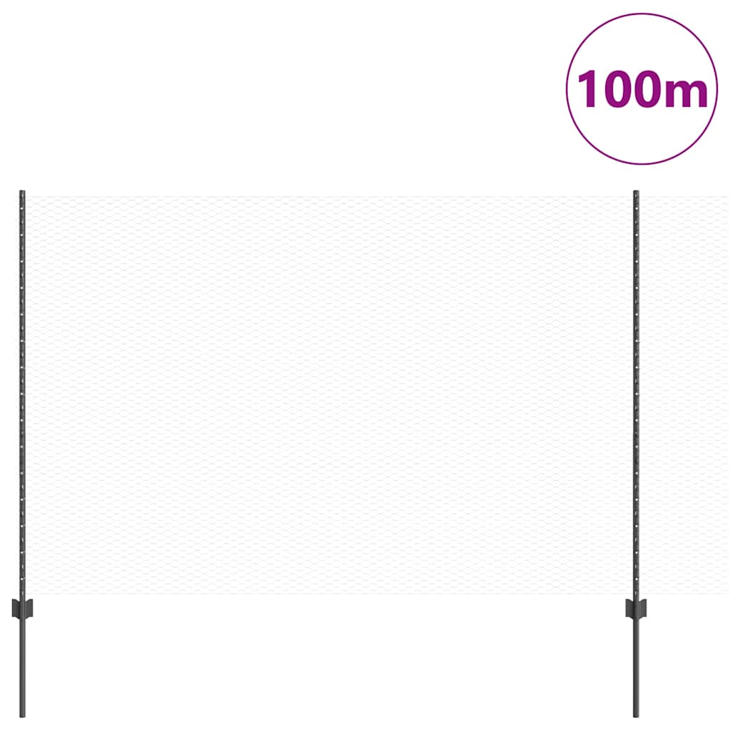Sekskantet gjerde med post 100 x 1,6 m PVC-belagt stål Grå Mesh