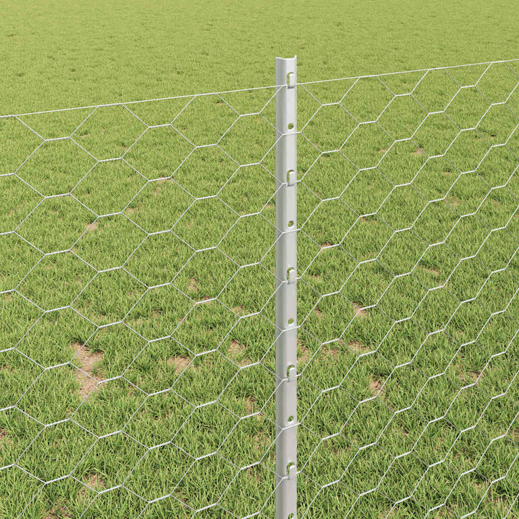 Sekskantet gjerde med post 10 x 1 m Galvanisert stål Sølv Mesh