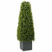 Eukalyptus Gress Tårn grønn 27 x 27 x 90 cm Plast