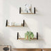 Vegghylle Veggmontert 3 pcs Røyk Eik 37 x 12 x 13 cm