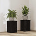 Planteholder 2 pcs Svart Eik 20 x 20 x 30 cm Konstruert tre