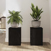 Planteholder 2 pcs Svart eik 25 x 25 x 35 cm Konstruert tre