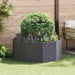 Plantekassed Svart 120 x 120 x 50 cm Stål