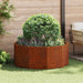 Plantekassed Rusten 120 x 120 x 50 cm Cortenstål