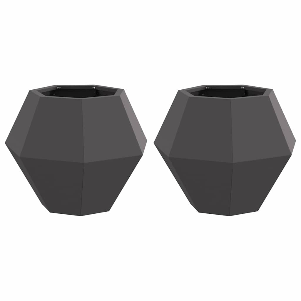 Plantekassed 2 pcs Svart 50 x 50 x 40 cm Stål