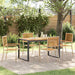 Hage Spisegruppe 5 pcs Beige og Brun polyrotting