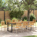 Hage Spisegruppe 9 pcs Beige og Brun polyrotting vidaXL