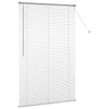 Vindu Persienne med gardiner sølv Aluminium