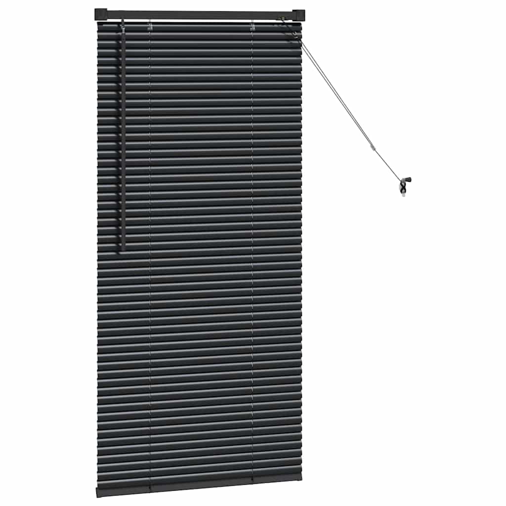 Venetianspersienner Svart 60 x 2,5 x 130 cm Aluminium