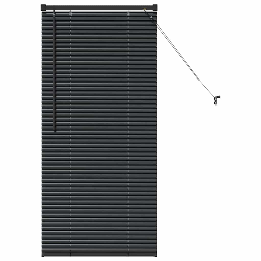 Venetianspersienner Svart 60 x 2,5 x 130 cm Aluminium