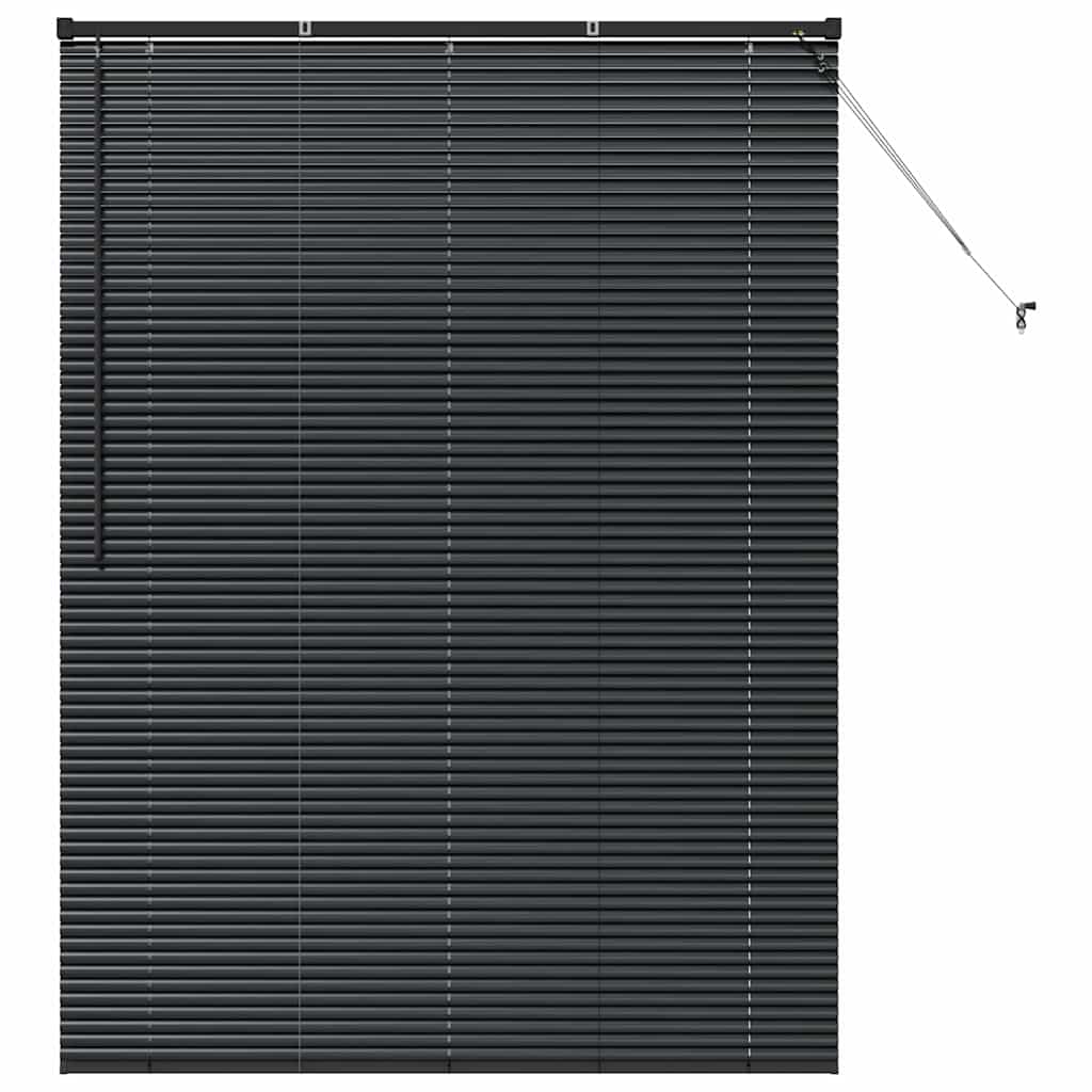 Vindu Persienne med gardiner Svart Aluminium