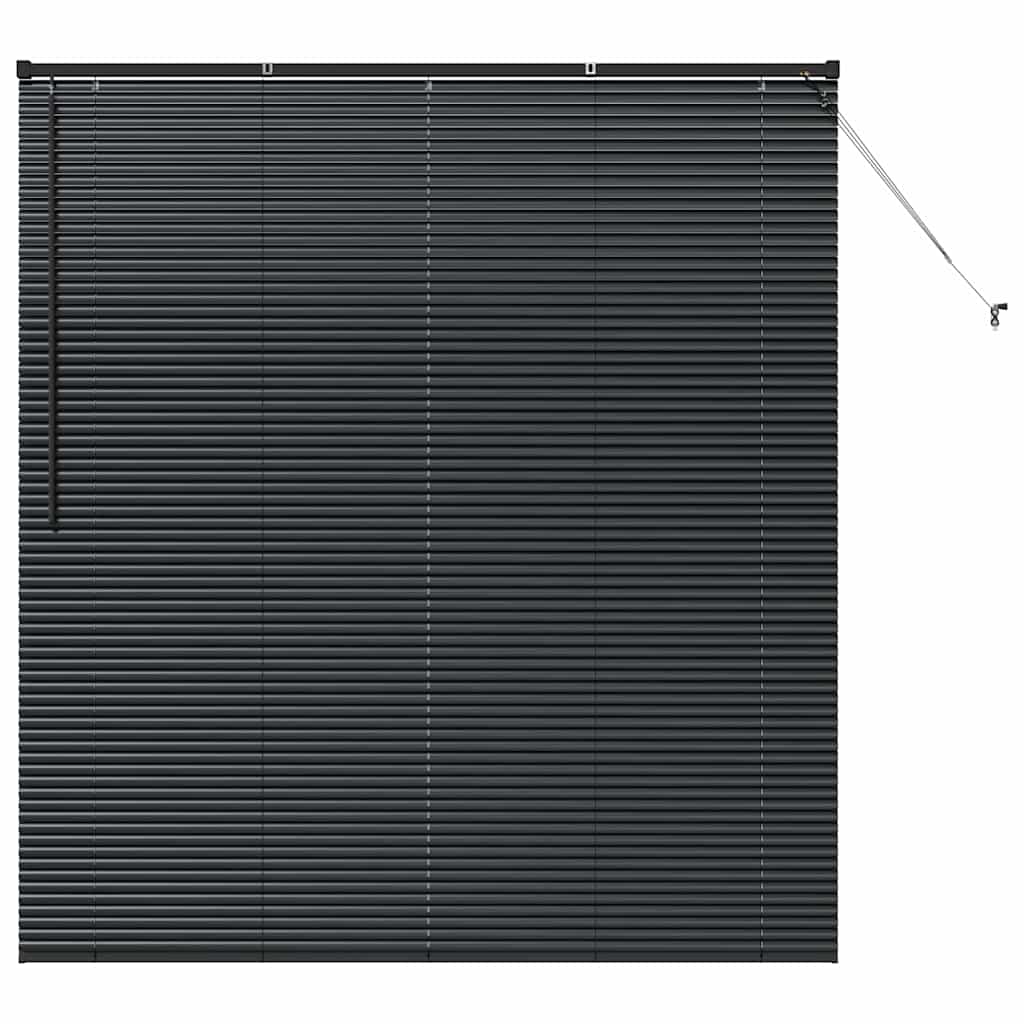 Vindu Persienne med gardiner Svart Aluminium