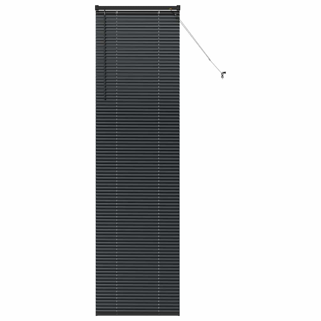 Vindu Persienne med gardiner Svart Aluminium