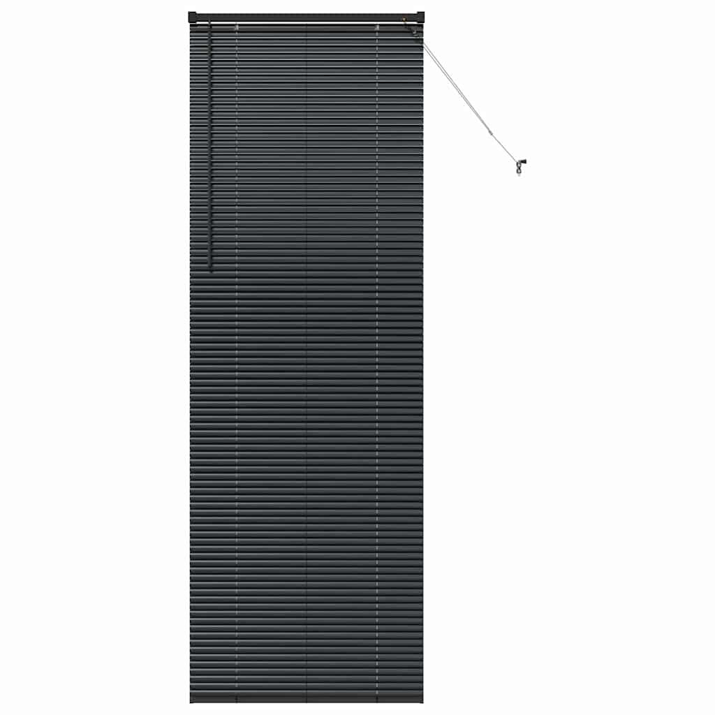 Vindu Persienne med gardiner Svart Aluminium