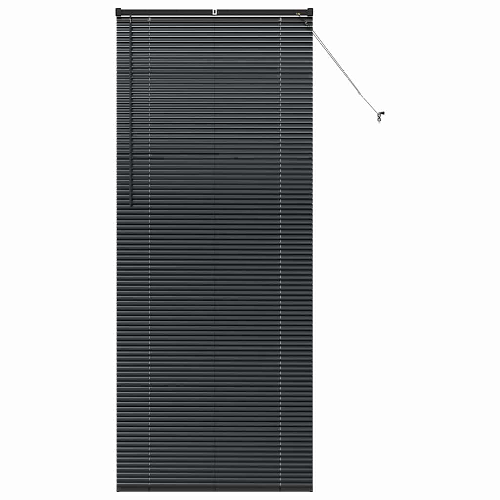 Vindu Persienne med gardiner Svart Aluminium