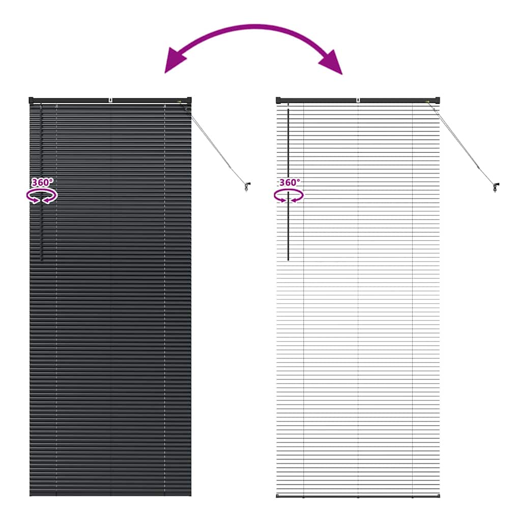 Vindu Persienne med gardiner Svart Aluminium