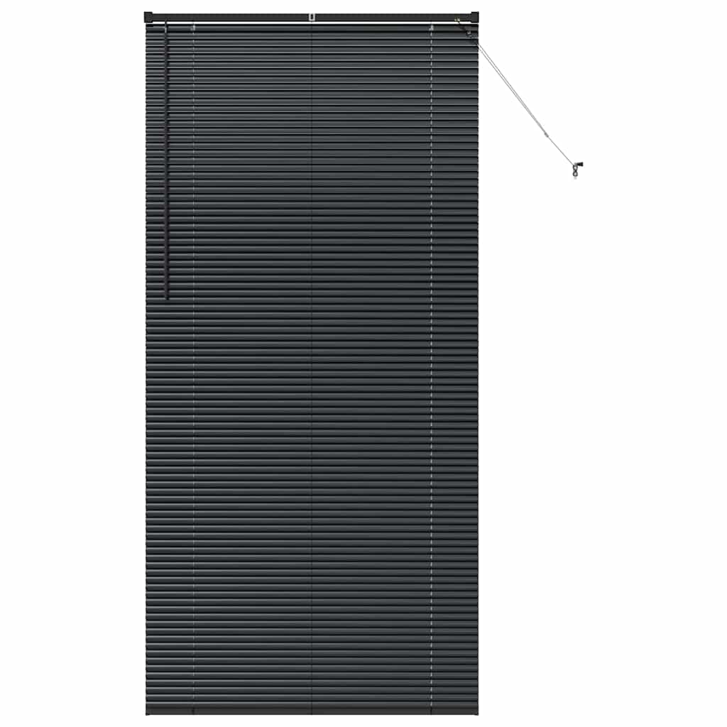 Vindu Persienne med gardiner Svart Aluminium