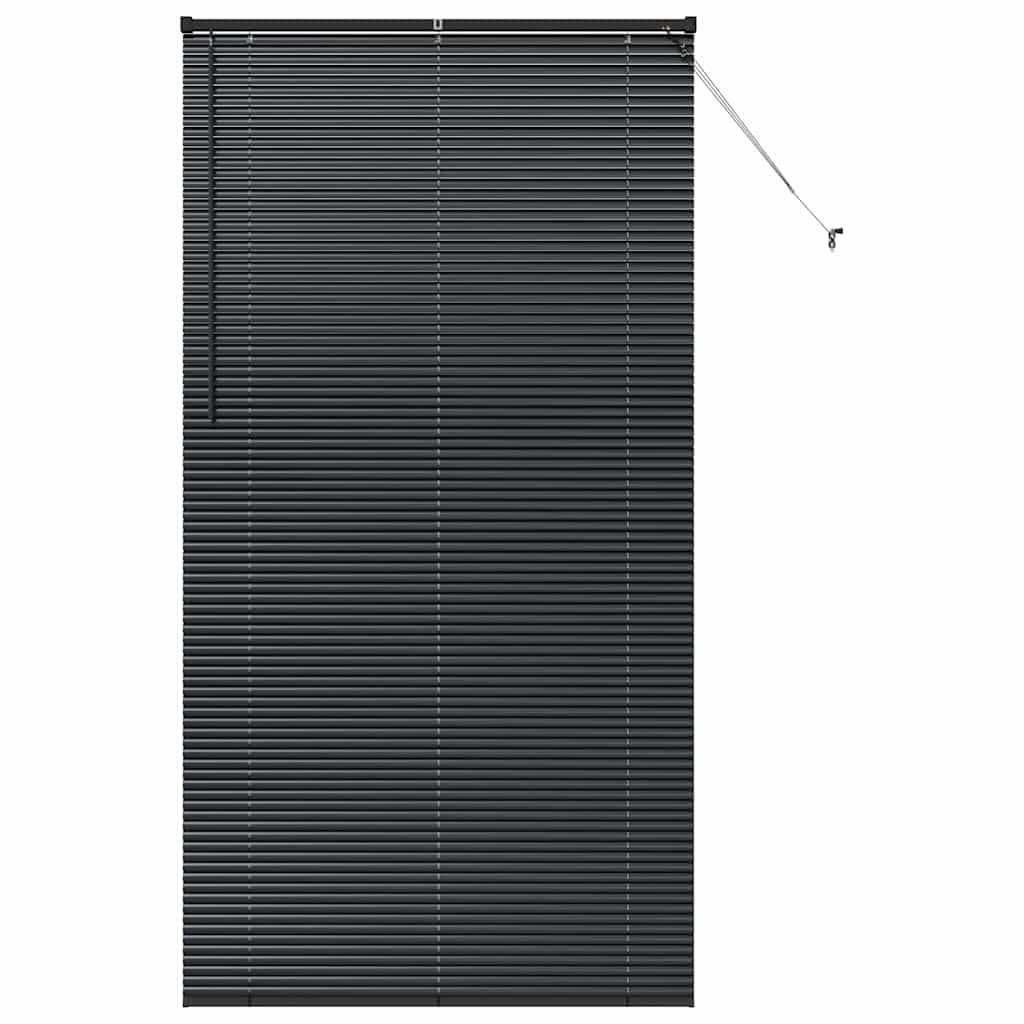 Vindu Persienne med gardiner Svart Aluminium