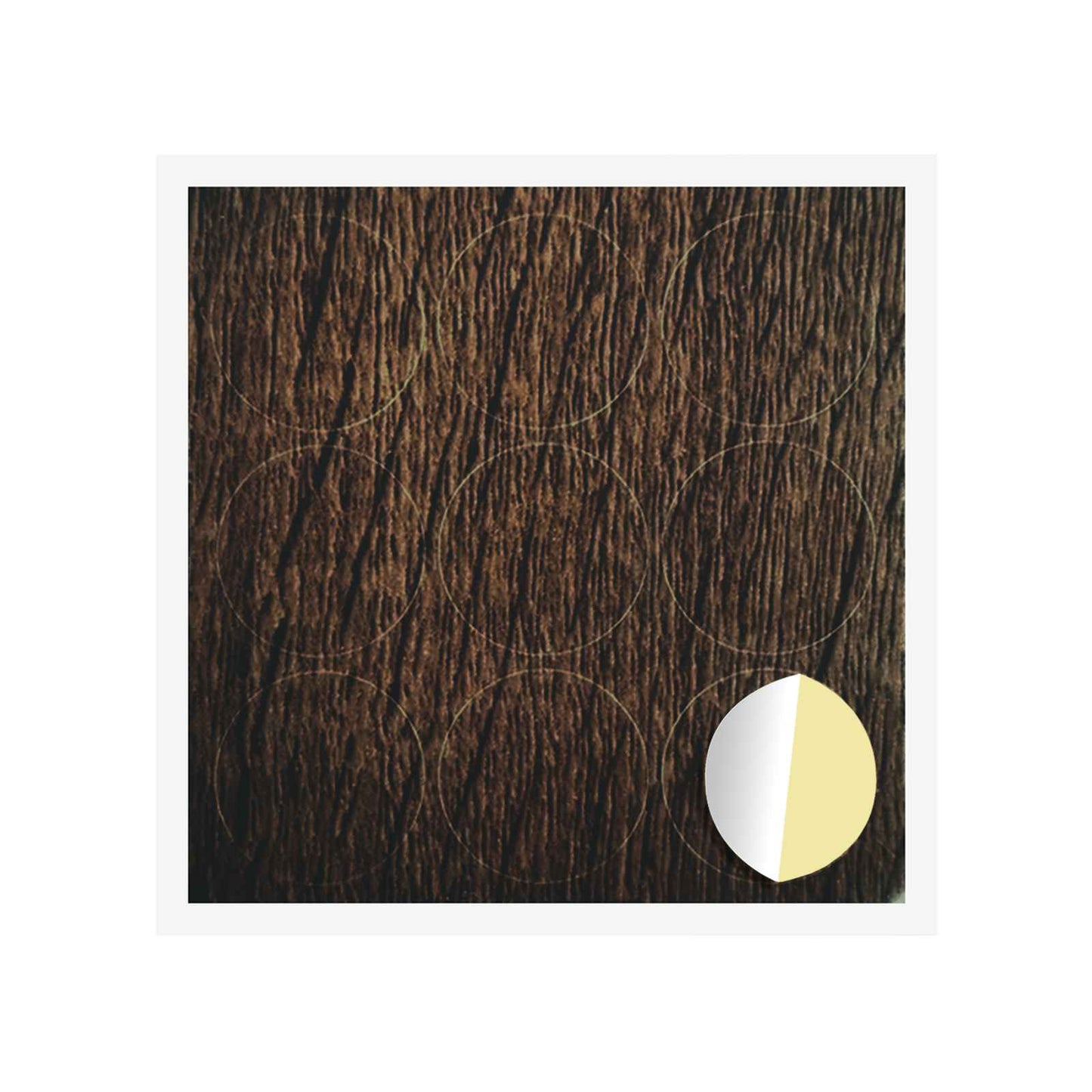 Klebende skrue deksel 12 pcs Brun Eik Ø 20 x 0,5 mm