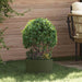 Plante ring 5 pcs Olivengrønn 30 x 30 x 20 cm Kaldvalsestål