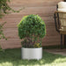 Plante ring sølv 30 x 30 x 20 cm Galvanisert Stål