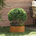 Plante ring Brun 40 x 40 x 20 cm Cortenstål