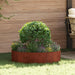 Plante ring Brun 80 x 80 x 12 cm Cortenstål