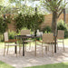 Hage Spisegruppe med pute 5 pcs Beige polyrotting