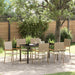Hage Spisegruppe med pute 7 pcs Beige polyrotting
