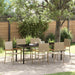 Hage Spisegruppe med pute 7 pcs Beige polyrotting