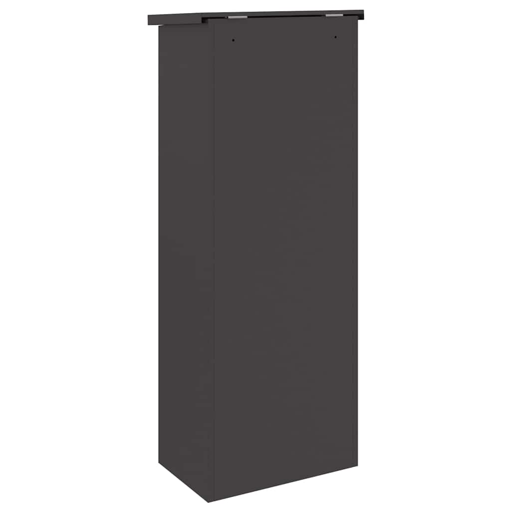 Pakkeinnkast med lagring Svart 44,5 x 29 x 110,5 cm Stål vidaXL
